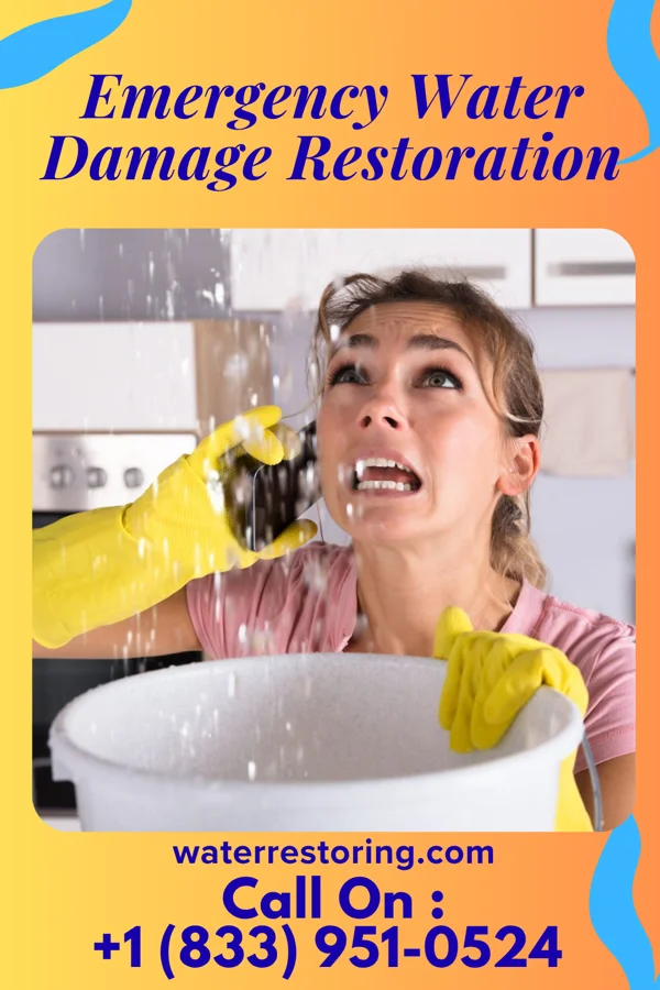 Emergency Water Damage Restoration in Waterville, WA