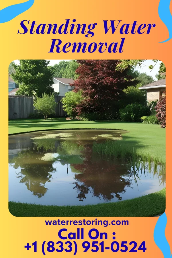 Standing Water Removal in Waterville, WA